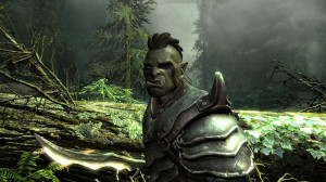 The Elder Scrolls - Skyrim